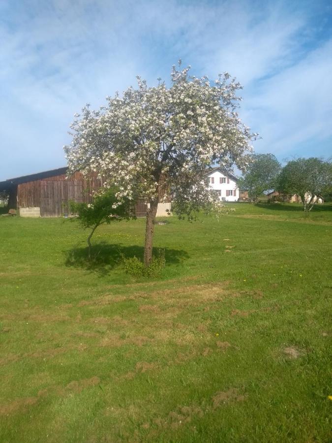La Maison De Pescate Souprosse Экстерьер фото
